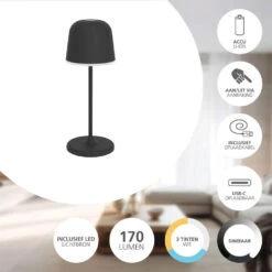EGLO Mannera-S Tafellamp/Priklamp - USB-C - H 20 Cm - Zwart -Leen Bakker 0789196ec79543449c4d97bef4845988