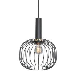 Mexlite Hanglamp - 1 Lichts - 25x150 Cm - Zwart