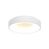 Steinhauer Plafondlamp Ringlede - 1 Lichts - 38x9 Cm - Wit