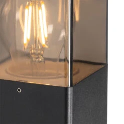 QAZQA Moderne Buiten Wandlamp Zwart IP44 Met Smoke Glas - Denmark -Leen Bakker 1000045891 0103