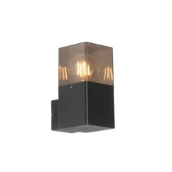 QAZQA Moderne Buiten Wandlamp Zwart IP44 Met Smoke Glas - Denmark