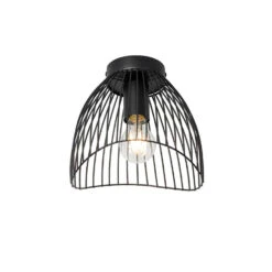 QAZQA Design Plafondlamp Zwart 20 Cm - Pua