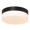 Steinhauer Plafondlamp Ikaro - 1 Lichts - 30x7 Cm - Zwart