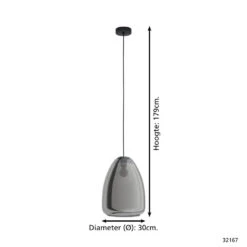EGLO Chelvey Hanglamp - E27 - Ø 30 cm - Zwart -Leen Bakker 1000065253 0103