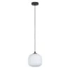 EGLO Mantunalle - Hanglamp - E27 - Ø 20 cm - Zwart