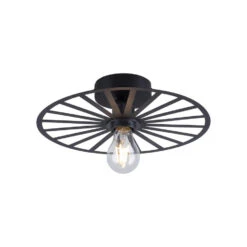 Paul Neuhaus Plafondlamp Isabella - 1 Lichts - 30 X8.5 Cm - Zwart