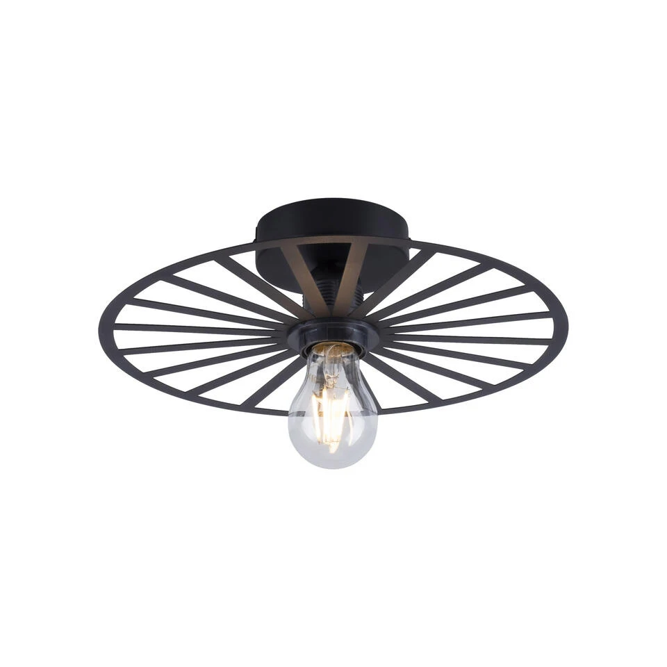 Paul Neuhaus Plafondlamp Isabella - 1 Lichts - 30 X8.5 Cm - Zwart 1 Paul Neuhaus Plafondlamp Isabella - 1 Lichts - 30 X8.5 Cm - Zwart