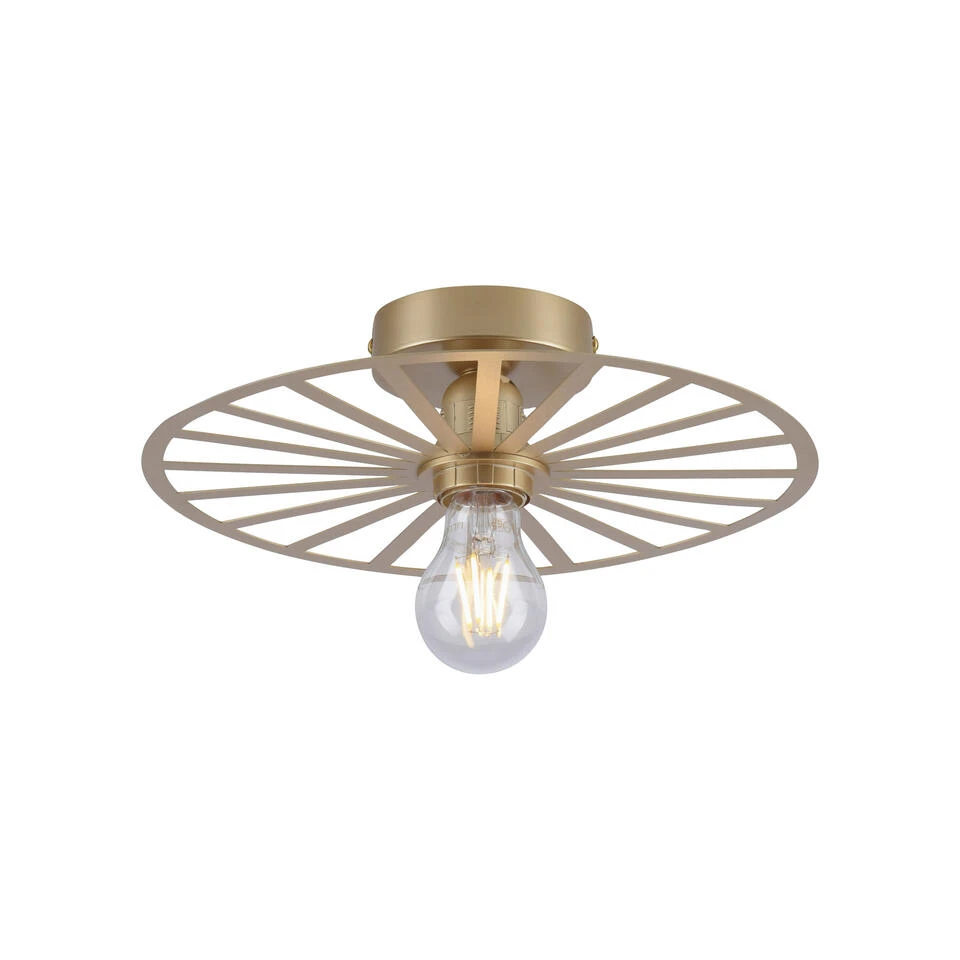 Paul Neuhaus Plafondlamp Isabella - 1 Lichts - 30 X8.5 Cm - Goud 4 Paul Neuhaus Plafondlamp Isabella - 1 Lichts - 30 X8.5 Cm - Goud - Afbeelding 4