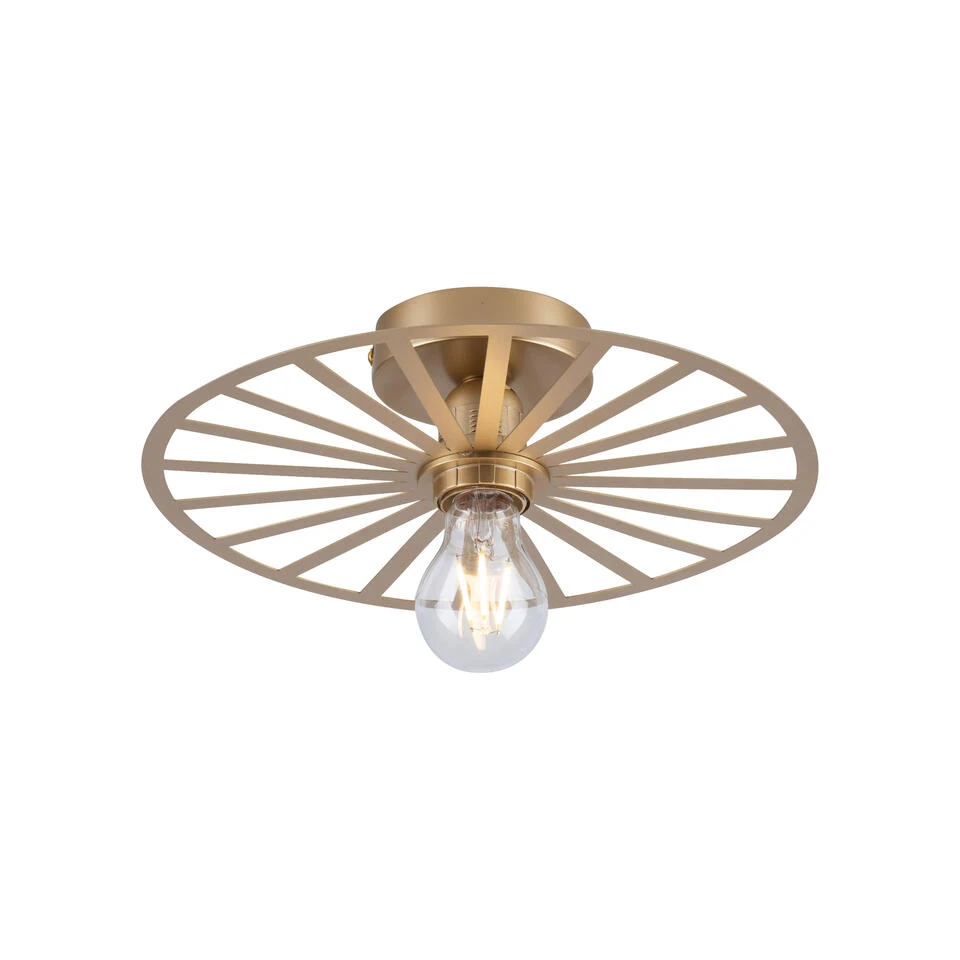 Paul Neuhaus Plafondlamp Isabella - 1 Lichts - 30 X8.5 Cm - Goud 1 Paul Neuhaus Plafondlamp Isabella - 1 Lichts - 30 X8.5 Cm - Goud