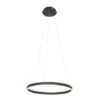 Steinhauer Hanglamp Ringlux - 1 Lichts - 60x170 Cm - Zwart