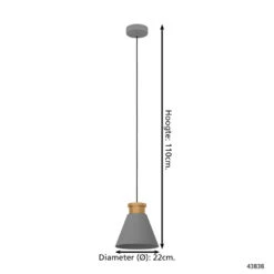 EGLO Twicken Hanglamp - E27 - Ø 22 Cm - Grijs/Goud -Staal -Leen Bakker 1000092701 0103