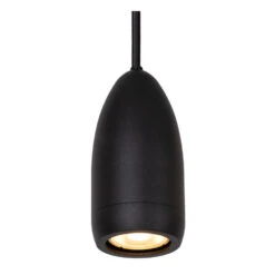 Lucide EVORA Hanglamp - Zwart -Leen Bakker 1000098971 0102