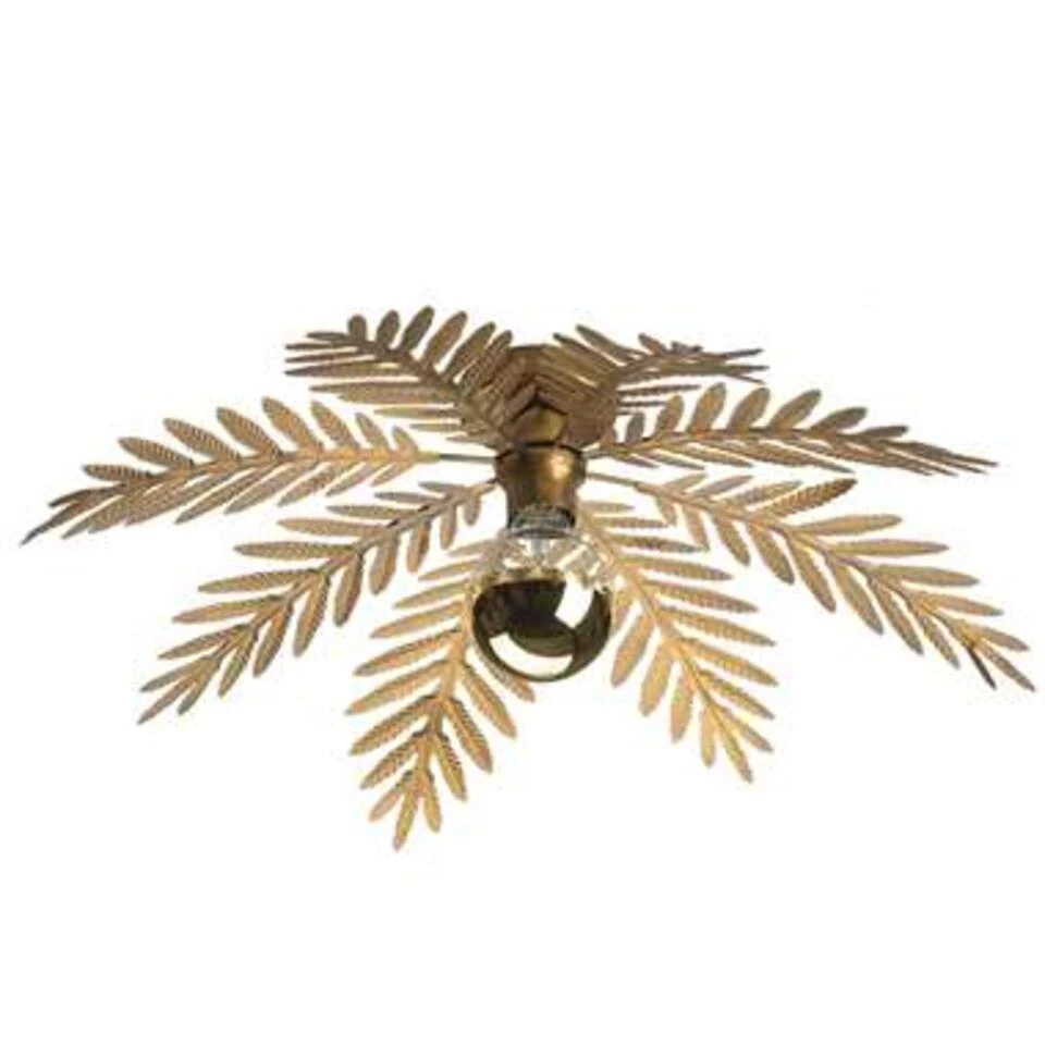 Ylumen Plafondlamp Palm - 8 Bladen - Ø 65 Cm - Goud Bruin 1 Ylumen Plafondlamp Palm - 8 Bladen - Ø 65 Cm - Goud Bruin