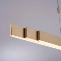Paul Neuhaus Hanglamp E-Slide - 3 Lichts - 120-200 X200 Cm - Messing -Leen Bakker 7714fdf00a5a4d4798c3b3a5c226193e